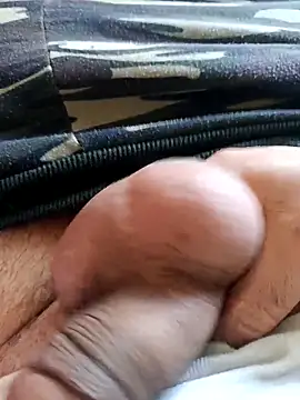 Snapshot of baipal74 chatting on 03.01.26 baipal74 online show from 03.01.26