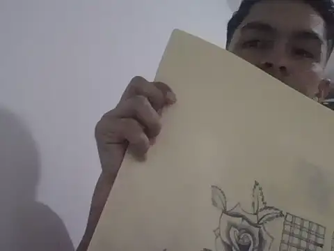 placerverdadero online show from 02.11.26