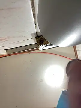 Babypalomi online show from 02.08.26