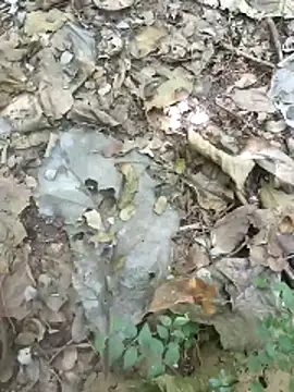 kalai 32 online show from 02.04.26