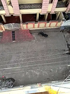 Castrol1289 online show from 02.11.26