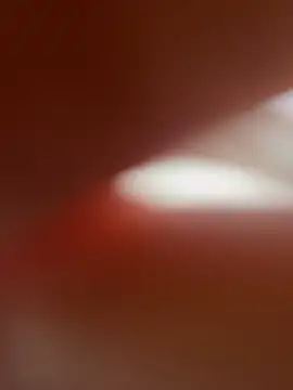 zo-19cm online show from 02.27.26