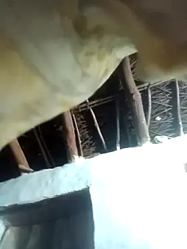 Manu mehta online show from 04.06.26