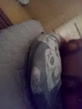 Snapshot of loveofpetitegirls34 chatting on 02.21.26 loveofpetitegirls34 online show from 02.21.26