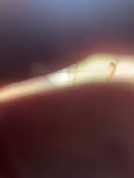 Kylxxx8 online show from 03.29.26