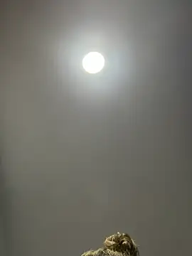 Angelicalove07 online show from 03.01.26