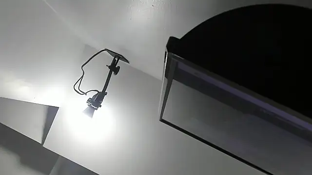 kate morgann online show from 04.01.26