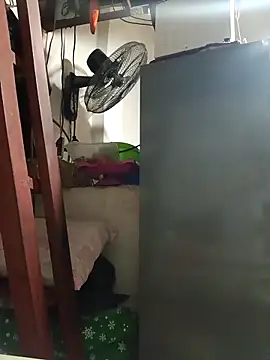 Wildcam21 online show from 02.19.26