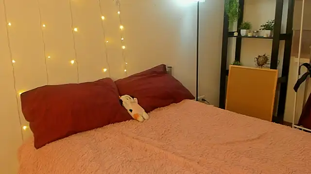 CalmFever online show from 02.11.26