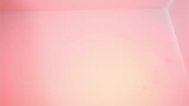 Eva-savage online show from 03.22.26