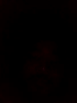 Frederico3302 online show from 03.02.26