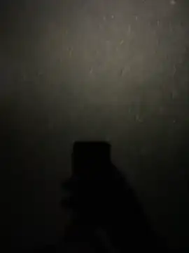 stallone italiano 62 online show from 02.11.26