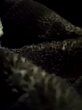 aryanvfit online show from 02.09.26