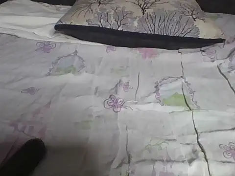 Snapshot of Hot-litchie chatting on 02.19.26 Hot-litchie online show from 02.19.26