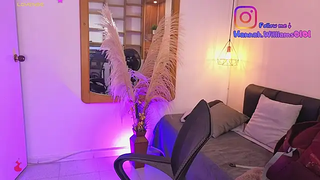 Hanna Williams   online show from 03.01.26