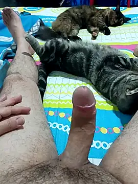 Snapshot of JFC161612 chatting on 04.07.26 JFC161612 online show from 04.07.26