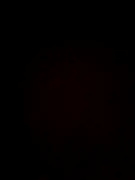 plump-bums online show from 02.16.26