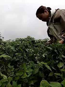 Snapshot of lovely-742 chatting on 02.28.26 lovely-742 online show from 02.28.26