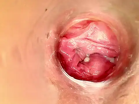 karol kane online show from 02.11.26