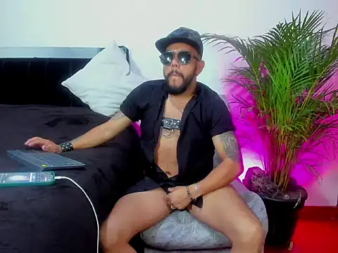 King bear 25 online show from 03.02.26