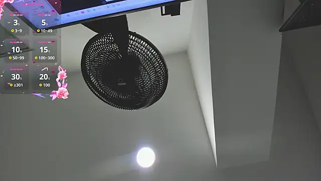 agartha velvet online show from 03.30.26