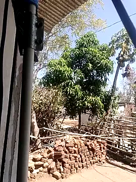 taniya0 online show from 03.13.26