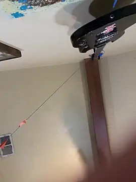 Snapshot of Link_and_Saria chatting on 03.01.26 Link and Saria online show from 03.01.26