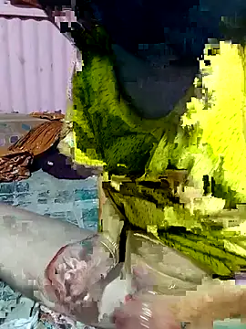 mimpake online show from 04.02.26