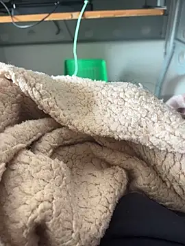 D4n13l47 online show from 03.04.26