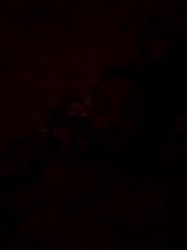 Snapshot of Blisiomar chatting on 05.30.26 Blisiomar online show from 05.30.26