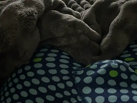 kakarot241515 online show from 03.06.26