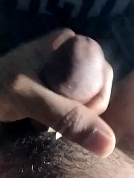 taherDzzf online show from 04.02.26