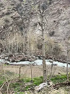 TurkeyMen online show from 04.08.26