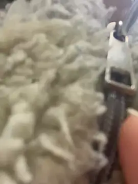 angell cooper8 online show from 03.22.26