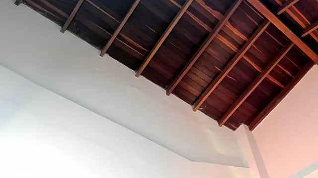 TonyPetrovjs online show from 04.01.26