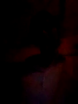 Snapshot of wifedesi7050 chatting on 03.05.26 wifedesi7050 online show from 03.05.26