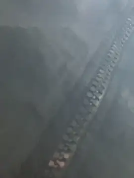 Bona68 online show from 02.23.26