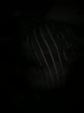 Angel Lov3 online show from 04.11.26