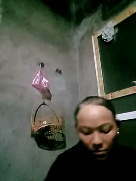 elen8800 online show from 03.25.26