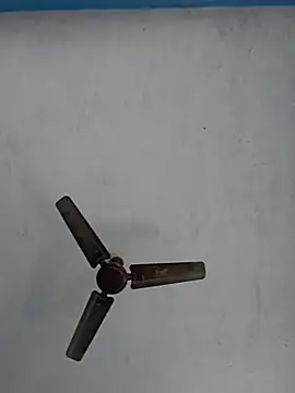 67sanju online show from 02.28.26