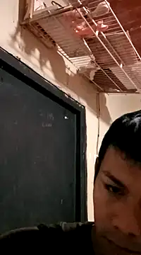 darwinmodell online show from 03.08.25