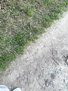 aras  25 online show from 03.09.26