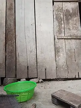 Snapshot of rinrin7700 chatting on 04.16.26 rinrin7700 online show from 04.16.26