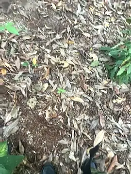 Snapshot of bibedro chatting on 02.28.26 bibedro online show from 02.28.26