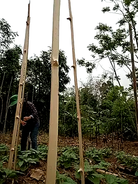 lyly sexx online show from 04.01.26