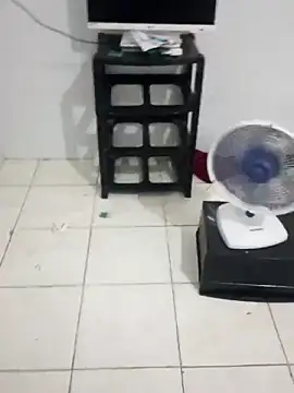 xxxputinhaxxxx online show from 02.26.26