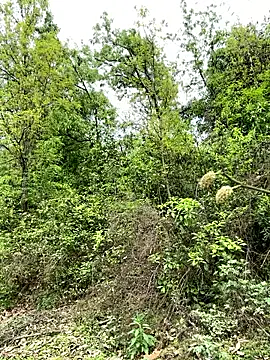 yin202601 online show from 03.26.26