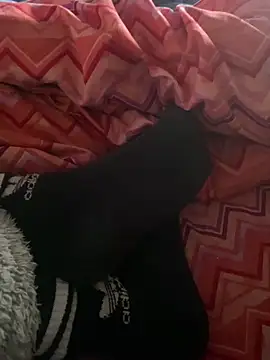 DAPHNE  00 online show from 03.07.26