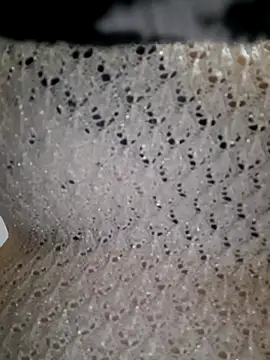 LunaBlaise online show from 03.30.26