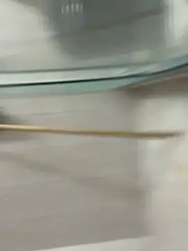 David-latinlover online show from 03.29.26